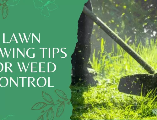 Lawn Mowing Tips for Weed Control