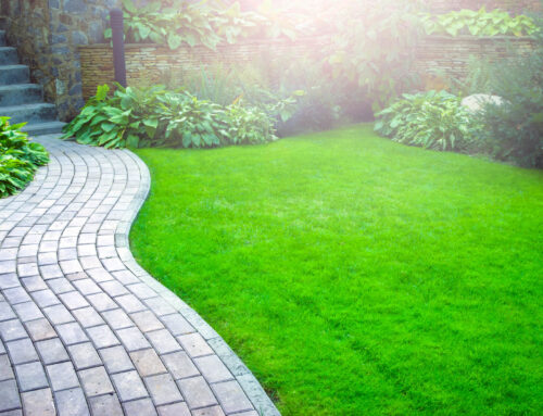 The Science Behind How Commercial Lawn Care Impacts Customer Decision-Making