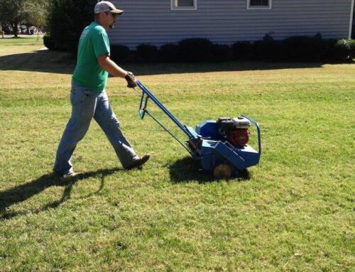 How a Residential Landscaper Can Redefine a Home’s First Impression Without Adding New Plants