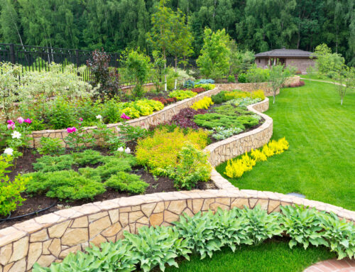 6 Best Ornamental Types Of Grass For Commercial Landscapes in Monroe, NC