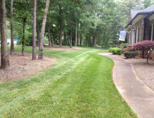 Who’s the Best Residential Landscaper in Midland, NC?