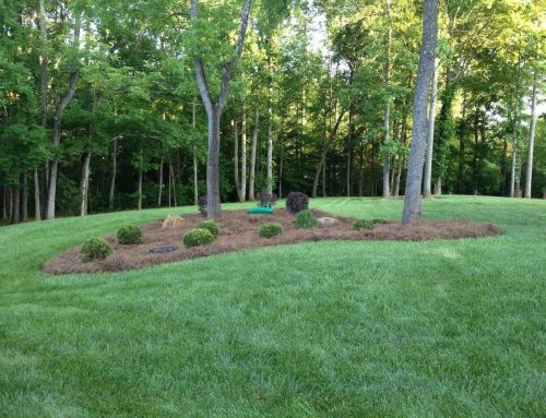 How Long Does a Landscaping Project Usually Take from Start to Finish?