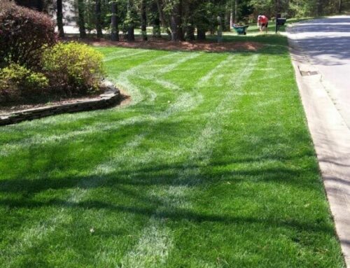 The Importance of Seasonal Lawn Care: How to Maintain a Healthy Lawn Year-Round