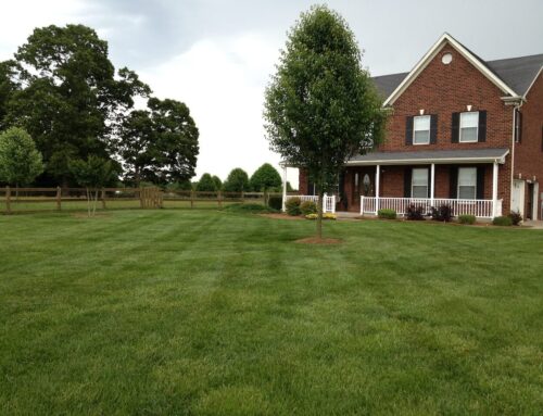 How Lawn Mowing Schedules are Quietly Shaping Neighborhood Perceptions