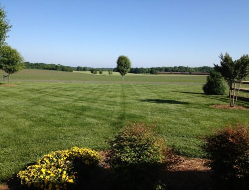 Who Offers Professional Landscaping Services in Monroe, NC?