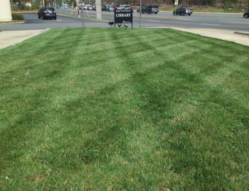 Who’s the Best Lawn Mowing Company in Mint Hill, NC?