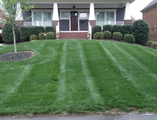 Why Every Residential Landscaper Has a Signature Style—Whether They Admit It or Not