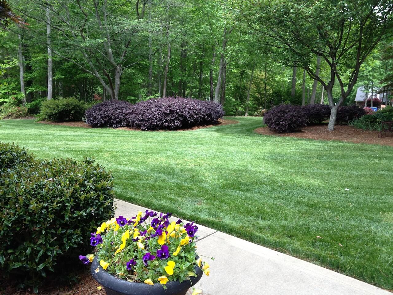 weddington lawn care services