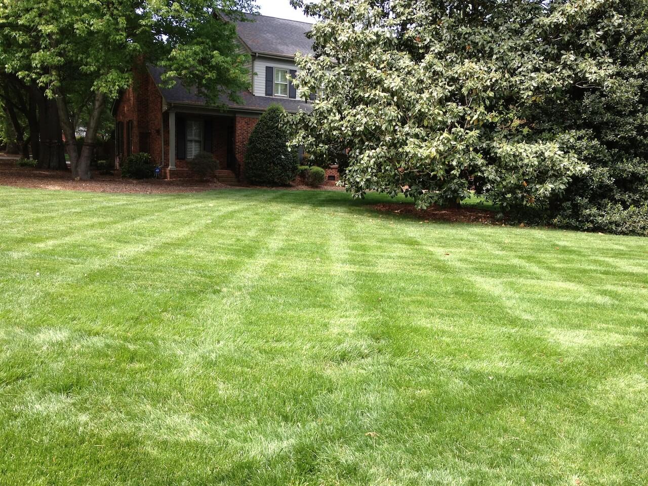 best lawn care services