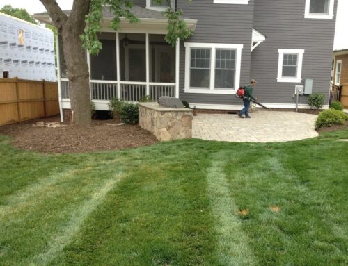 From Patchy to Pristine: How Lawn Mowing Services are Raising the Bar for Suburban Curb Appeal