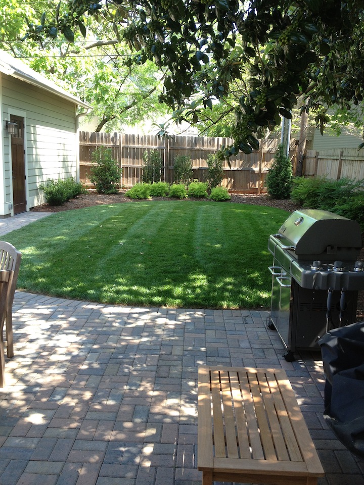 Lawn Care Indian Trail NC