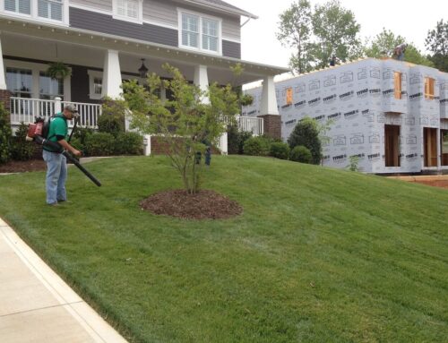 What Your Lawn Says About You: The Psychology Behind a Well-Maintained Yard