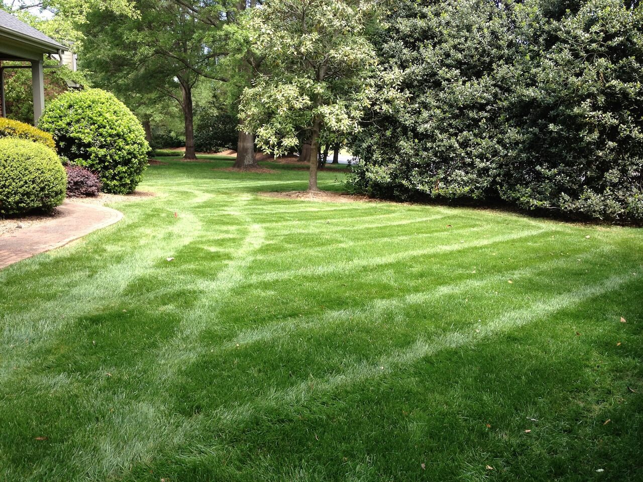 lawn care waxhaw