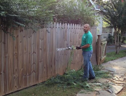 The Unexpected Role Lawn Care Services Play in Raising Community Property Value