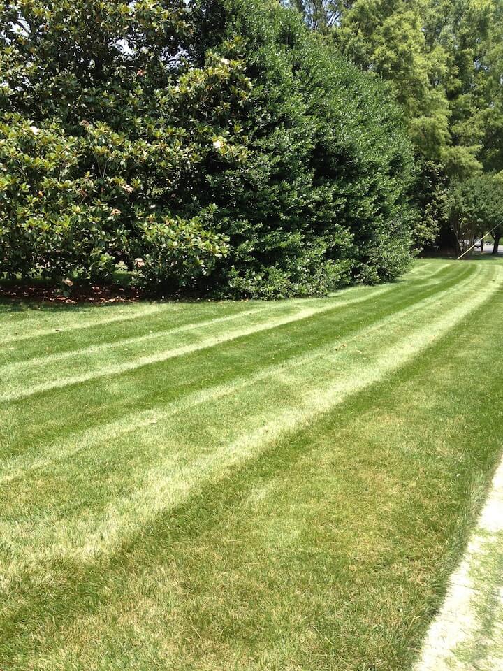 lawn care services matthews