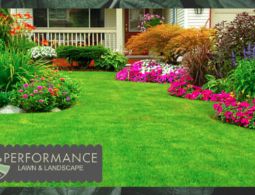THERE’S MORE TO COMMERCIAL LANDSCAPING THAN MEETS THE EYE