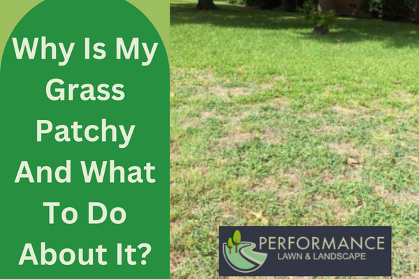 Why Is My Grass Patchy And What To Do About It