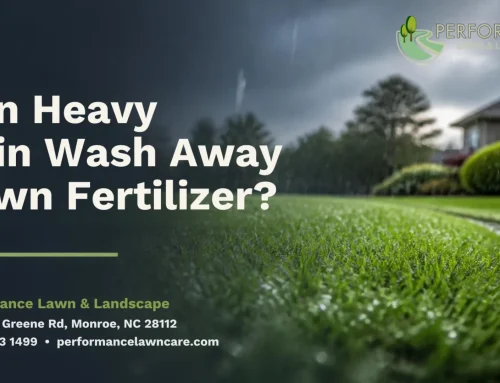 Can Heavy Rain Wash Away Lawn Fertilizer?