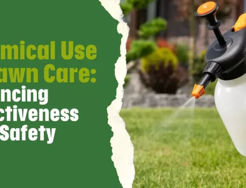 Chemical Use in Lawn Care: Balancing Effectiveness and Safety