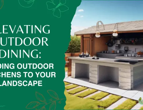 Elevating Outdoor Dining: Adding Outdoor Kitchens to Your Landscape