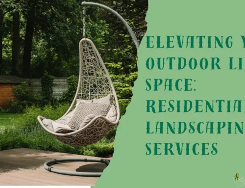 Elevating Your Outdoor Living Space: Residential Landscaping Services