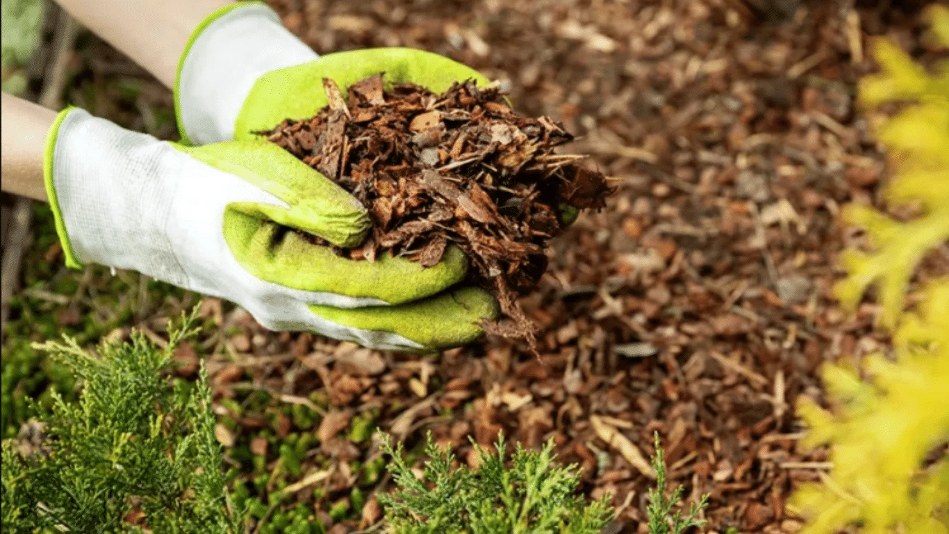 Enhance Your Garden Mulching Services in Monroe, NC