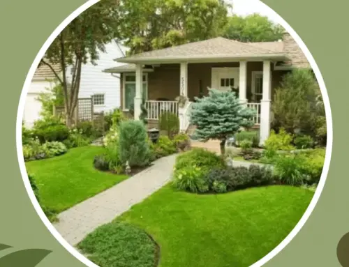 Enhance Your Property Landscaping Services in Monroe NC