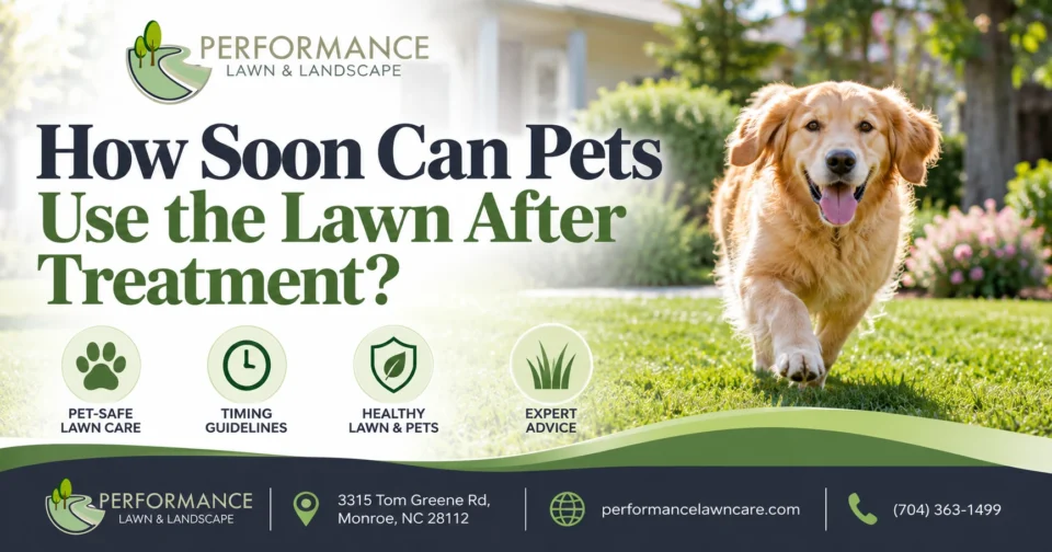 How Soon Can Pets Use the Lawn After Treatment?