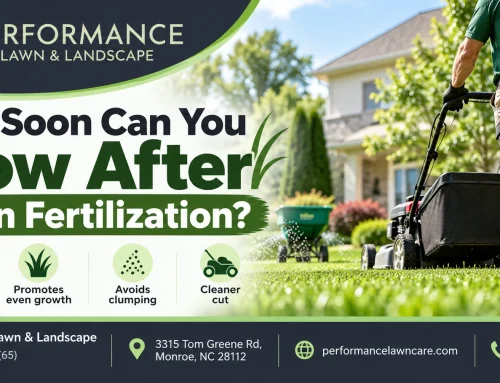 How Soon Can You Mow After Lawn Fertilization?