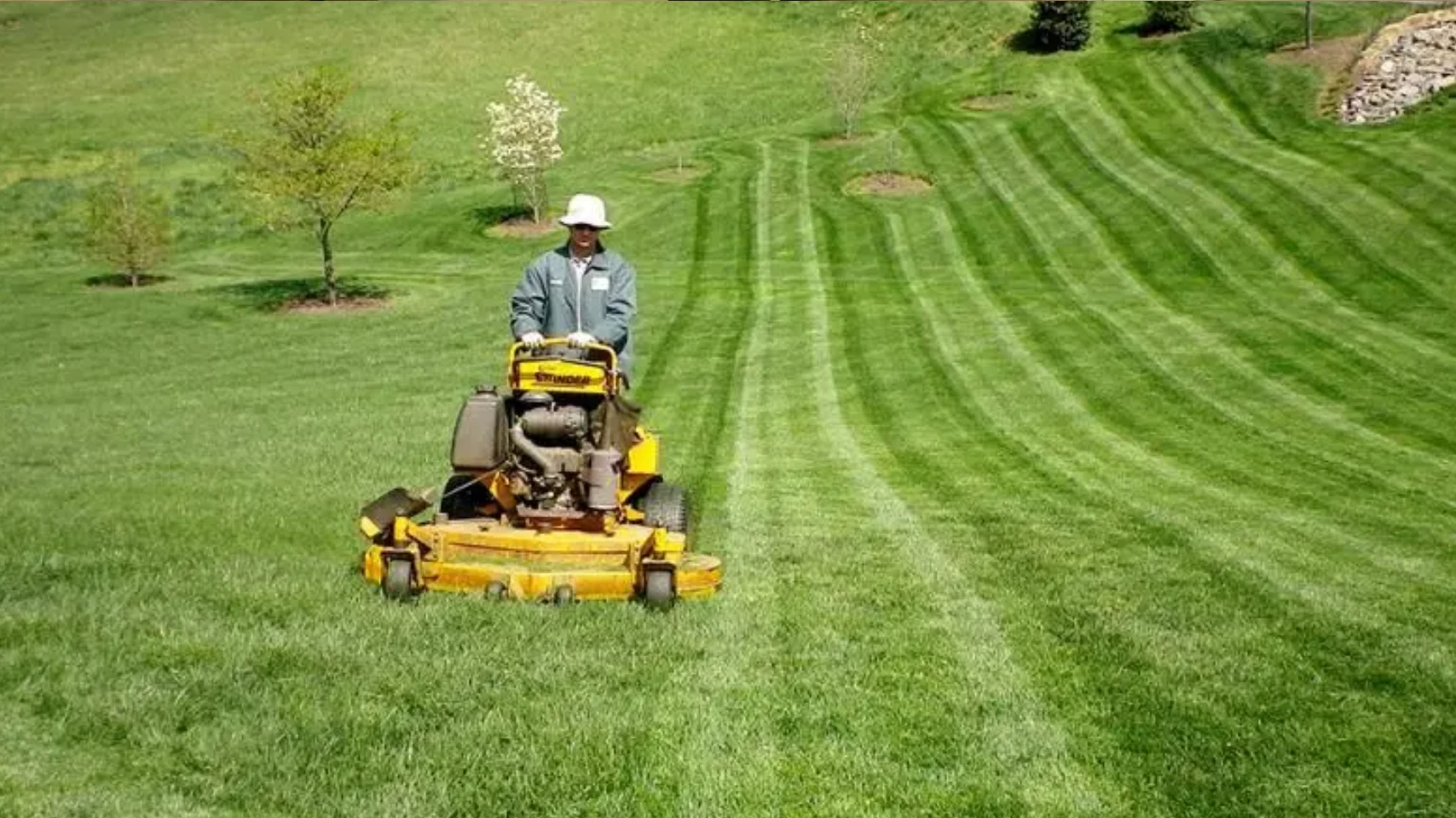 Landscape Maintenance Consistent Mowing and Blowing