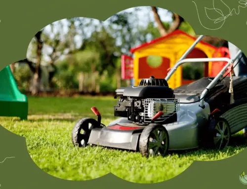 Maintain Your Lawn’s Beauty: Professional Lawn Care Near Me