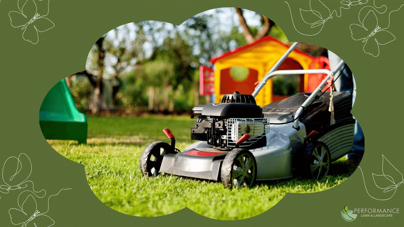 Maintain Your Lawn's Beauty Professional Lawn Care Near Me