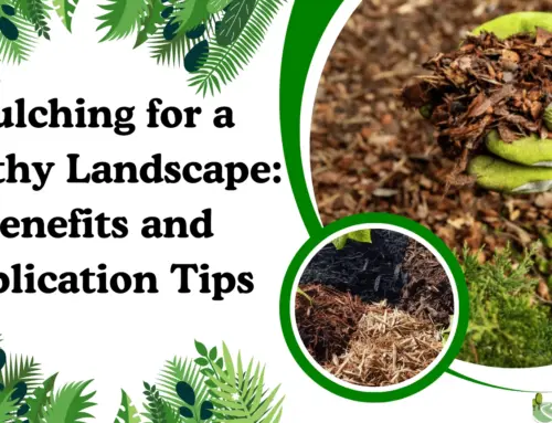 Mulching for a Healthy Landscape: Benefits and Application Tips