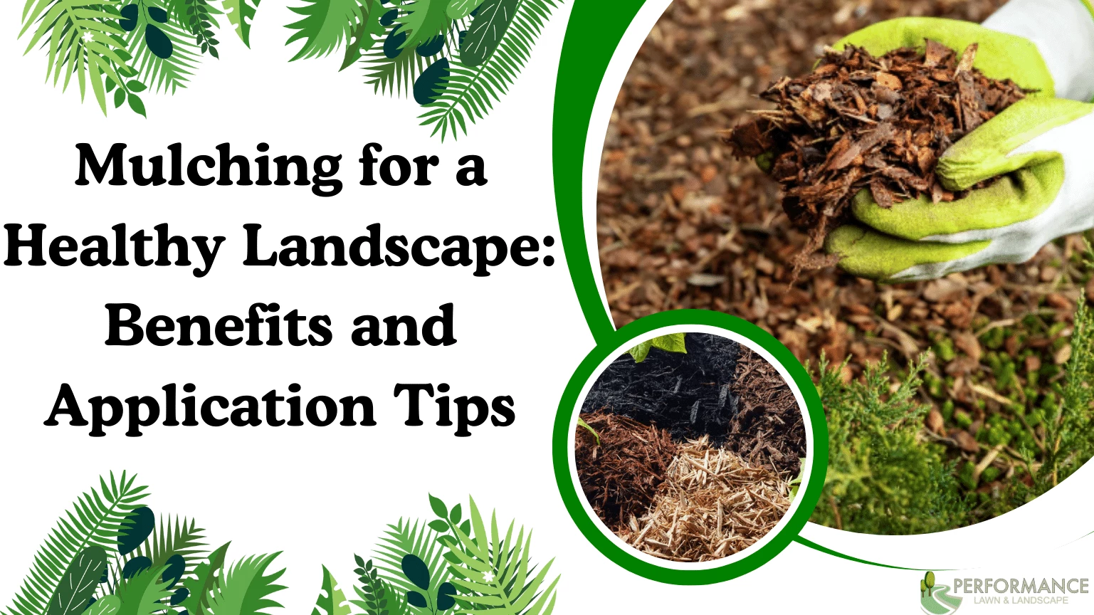 Mulching for a Healthy Landscape Benefits and Application Tips