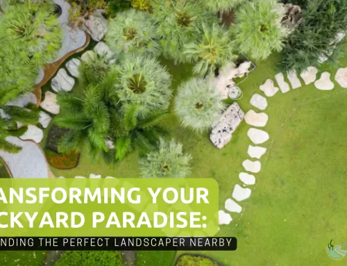 Transforming Your Backyard Paradise: Finding the Perfect Landscaper Nearby