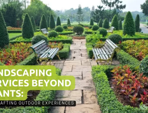Landscaping Services Beyond Plants: Crafting Outdoor Experiences