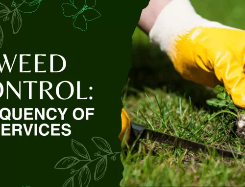 Weed Control: Frequency of Services