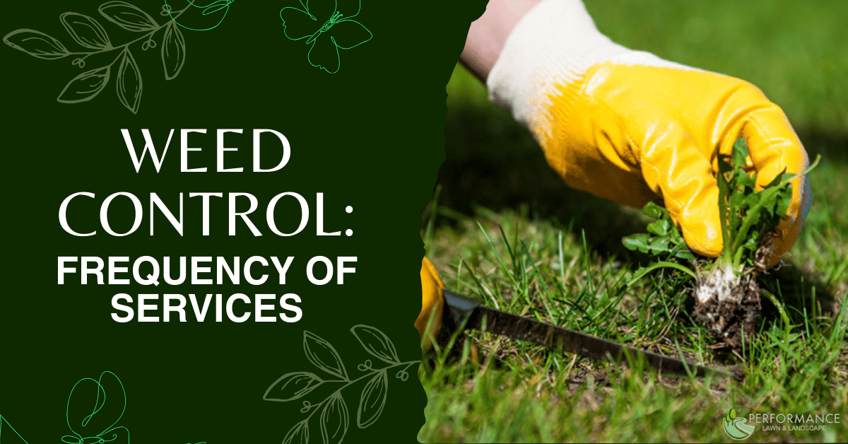 Weed Control Frequency of Services