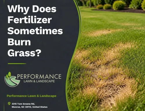 Why Does Fertilizer Sometimes Burn Grass?