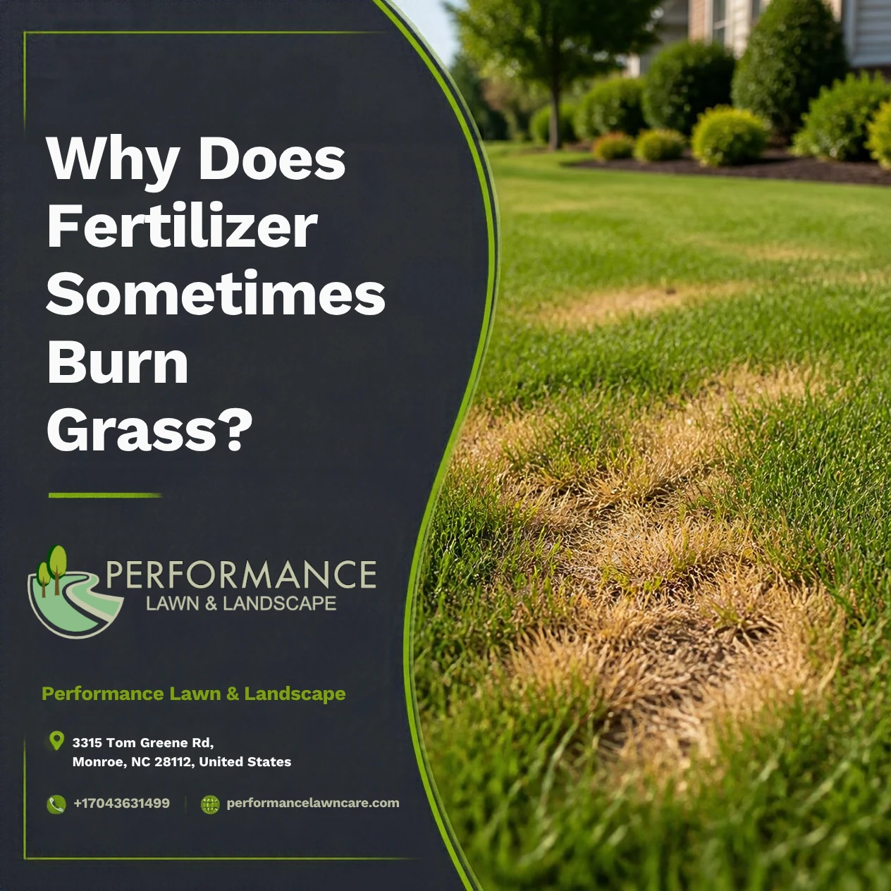 Why Does Fertilizer Sometimes Burn Grass?