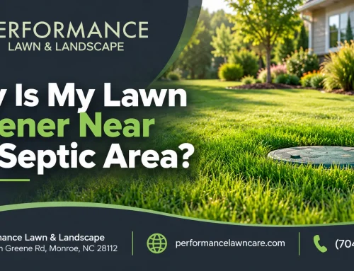 Why Is My Lawn Greener Near the Septic Area?