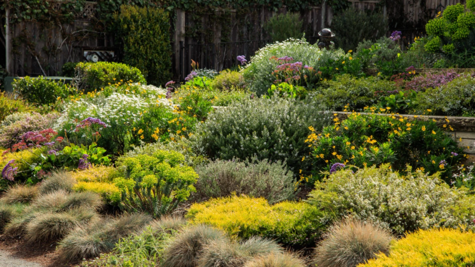 Xeriscaping Low-Maintenance Landscaping for Dry Climates