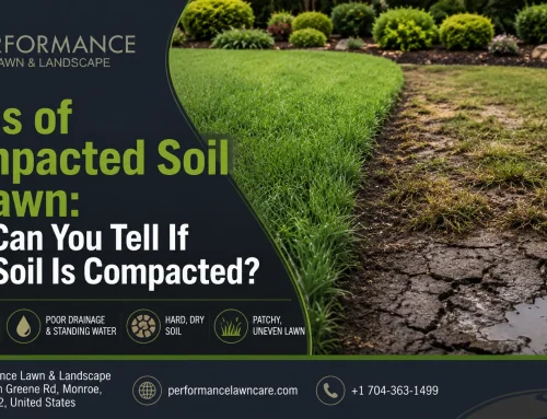Signs of Compacted Soil in Lawn: How Can You Tell If Your Soil Is Compacted?