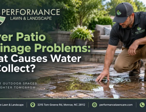 Paver Patio Drainage Problems: What Causes Water to Collect?