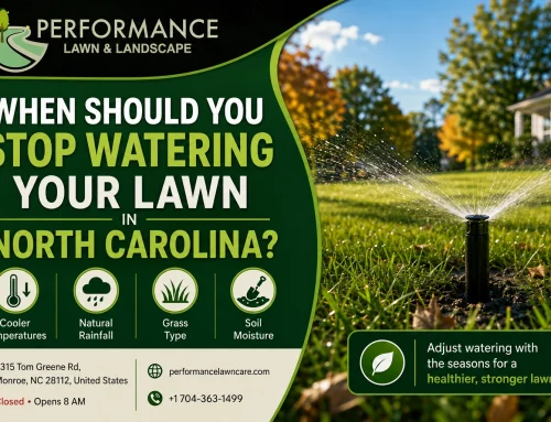 When Should You Stop Watering Your Lawn in North Carolina?