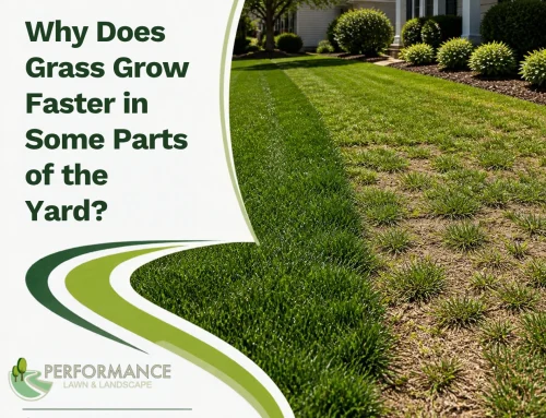 Why Does Grass Grow Faster in Some Parts of the Yard?