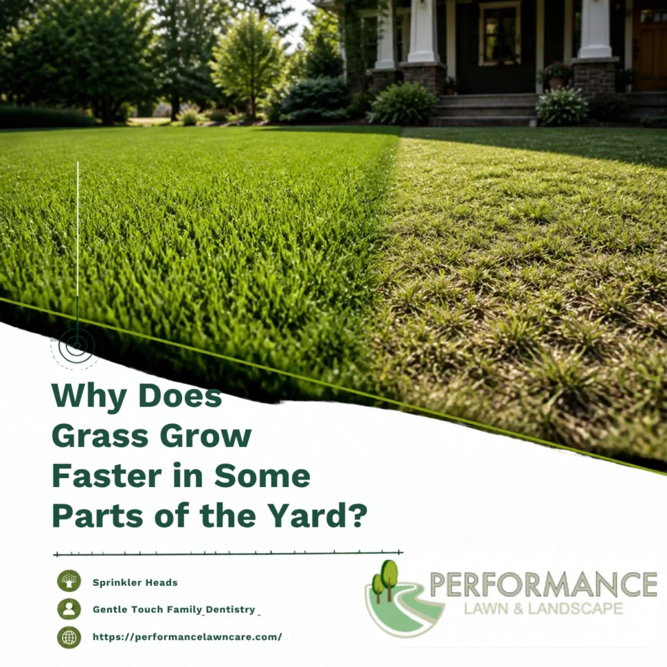 Why Does Grass Grow Faster in Some Parts of the Yard?